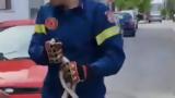 Τεράστιο, Σπάρτη, Έκανε, - Δείτε,terastio, sparti, ekane, - deite