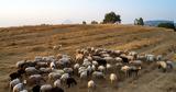 Σκάνδαλο ΟΠΕΚΕΠΕ, ChatGPT, Κρήτη, 7 812 923,skandalo opekepe, ChatGPT, kriti, 7 812 923