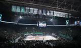 Παναθηναϊκός, Ψάχνει,panathinaikos, psachnei
