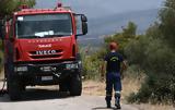 Πυρκαγιά, Καστελόριζο – Μεταβαίνουν, Ρόδο,pyrkagia, kastelorizo – metavainoun, rodo