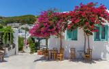 Όλοι, Λεύκες, Πάρου,oloi, lefkes, parou