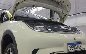 BYD Dolphin, 220 000, [video]