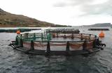 Χανιά, Κλοπή, ΕΛΚΕΘΕ, Σούδα,chania, klopi, elkethe, souda