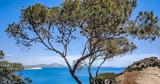 Καιρός, Καυτό, Αγίου Πνεύματος, – Κυριακή, Δευτέρα,kairos, kafto, agiou pnevmatos, – kyriaki, deftera