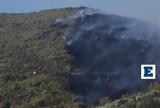 Καμπανάκι Λέκκα, Έχει, Αττική,kabanaki lekka, echei, attiki