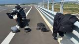 Τροχαίο, Λαμία, Τραγωδία, Εθνική Οδό, 55χρονο – Συγκρούστηκε,trochaio, lamia, tragodia, ethniki odo, 55chrono – sygkroustike