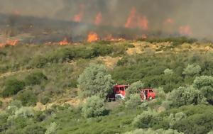 Φωτιά, Μεσσηνία, Επιχειρούν 40, fotia, messinia, epicheiroun 40
