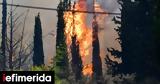 Φωτιά, Μεσσηνία -Επιχειρούν 40 Πυροσβέστες,fotia, messinia -epicheiroun 40 pyrosvestes