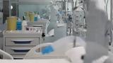 Πρόεδρος, Αιμοδοσίας, Τζάνειο, Δεν, 62χρονη,proedros, aimodosias, tzaneio, den, 62chroni