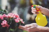 Σπιτικό DIY,spitiko DIY