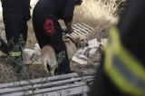Κρήτη, Εξαφανίστηκε, Ισραηλινή, Μικέλ Πέλεκ,kriti, exafanistike, israilini, mikel pelek
