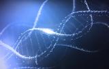 Μυστηριώδεις, 6 000, DNA,mystiriodeis, 6 000, DNA
