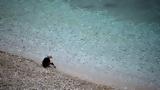 Πάτρα, Ναυαγοσώστης, 5χρονο,patra, navagosostis, 5chrono