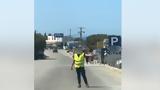 Κρήτη, Αστυνομικοί, Ελαφονήσι – Δείτε,kriti, astynomikoi, elafonisi – deite