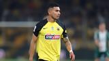 ΑΕΚ, Τσίβας, Πινέδα,aek, tsivas, pineda