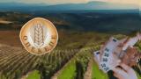 Farm Subsidies Scandal Generates Court Cases Finger-Pointing,
