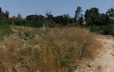 Σπανάκης, 400 000,spanakis, 400 000