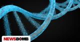 Βρήκαν, 6 000, — Aλλά, DNA,vrikan, 6 000, — Alla, DNA