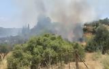 Φωτιά, Μεσσηνία – Επιχειρούν 4,fotia, messinia – epicheiroun 4