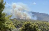 Μεσσηνία, Φωτιά, Χαρακοπιό - Σηκώθηκαν,messinia, fotia, charakopio - sikothikan
