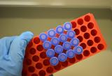 Πόλεμος, DNA,polemos, DNA