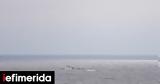 Συντριβή, Σαν Ντιέγκο -Πληροφορίες,syntrivi, san ntiegko -plirofories