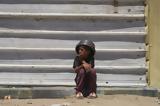 Πορεία, Γάζα - Η, Dnews 8, 205 Έλληνες, Παλαιστίνη,poreia, gaza - i, Dnews 8, 205 ellines, palaistini