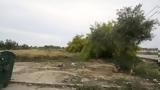 Μέχρι 15 Ιουνίου, Σπανάκης,mechri 15 iouniou, spanakis