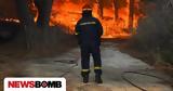 Φωτιά, Τρίτη 10 Ιουνίου,fotia, triti 10 iouniou