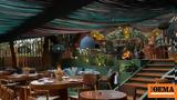 Woowoo Garden Athens, Πανασιατική, Κολωνάκι,Woowoo Garden Athens, panasiatiki, kolonaki