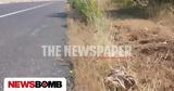 Τραγωδία, Βόλο – Νεκρός, Περιφερειακό,tragodia, volo – nekros, perifereiako
