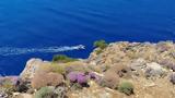 Λασίθι, Βρέθηκε, – Εξετάζεται, Μικέλ Πέλεκ,lasithi, vrethike, – exetazetai, mikel pelek