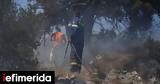 Φωτιά, Λέσβο -Σηκώθηκαν, 112,fotia, lesvo -sikothikan, 112