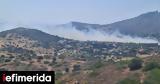 Φωτιά, Μήνυμα 112, Ανάβυσσο, Παλαιά Φώκαια -Οι,fotia, minyma 112, anavysso, palaia fokaia -oi