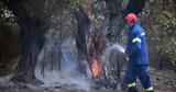 Πυρκαγιά, Άβδηρα Ξάνθης,pyrkagia, avdira xanthis