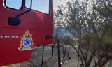 Φωτιά, Χαλάνδρι – Ισχυρές,fotia, chalandri – ischyres