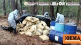 Κατασχέθηκε, Μεξικό - Βρέθηκαν 42,kataschethike, mexiko - vrethikan 42
