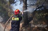 Λέσβο - Εμπρησμό, Βίντεο,lesvo - ebrismo, vinteo