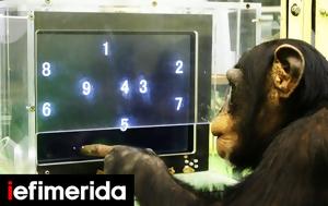 Smart Animals Club, - Ποια, Smart Animals Club, - poia