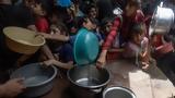 Κίνημα Global March, Gaza, Γάζα, 205 Έλληνες,kinima Global March, Gaza, gaza, 205 ellines