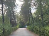 Υψηλός, Αργολίδα Κορινθία, Λακωνία,ypsilos, argolida korinthia, lakonia