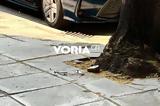 Συναγερμός, Θεσσαλονίκη,synagermos, thessaloniki