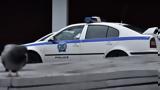Άγριο, Καλλιθέα –,agrio, kallithea –