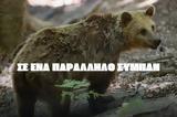 Ούτε, Έλληνες,oute, ellines
