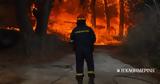 Χωρίς στέγη οι εποχικοί πυροσβέστες στα νησιά,