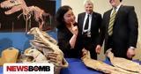 Μογγολία Ανακαλύφθηκε, T-Rex -,mongolia anakalyfthike, T-Rex -