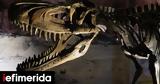 Λείψανα, Μογγολία -Ήταν, T-Rex,leipsana, mongolia -itan, T-Rex