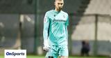 ΠΑΟΚ, Συμφωνία, Γίρι Παβλένκα,paok, symfonia, giri pavlenka
