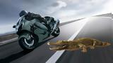 Μοτοσικλετιστές,motosikletistes