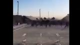 Γάζα, Απελπισμένοι Παλαιστίνιοι, Video,gaza, apelpismenoi palaistinioi, Video